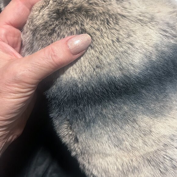 Rare, Vintage Daniela Vitali Raccoon Fur Jacket, Hooded,
Sz (US 10-12 ) - Picture 4 of 16